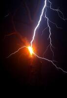 lightning bolt hitting a tree in the dark photo