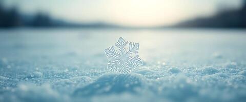 A snowflake is shown in the middle of a field photo