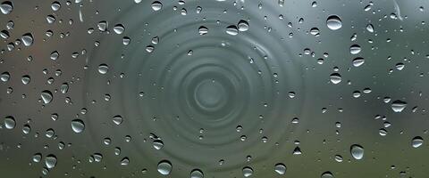rain drops on a window with a green background photo