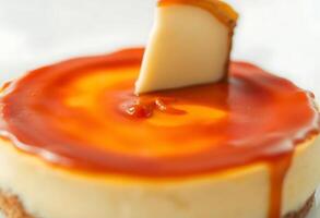 cheesecake with a piece of cheese on top of it photo