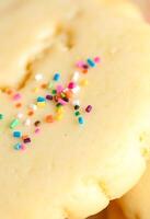 close up of a piece of cake with sprinkles photo