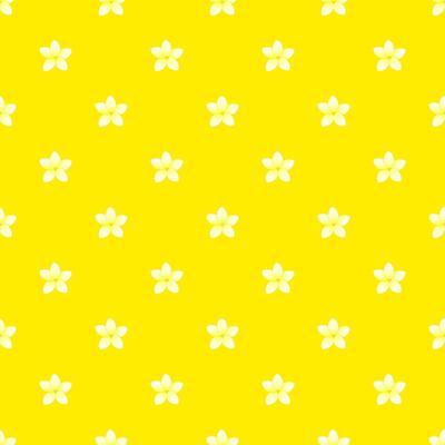 Seamless pattern of small white plumeria flowers on a yellow background