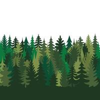 Flat Color Pine Forest on White Background. vector