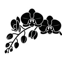 Black and White Orchid Flower Silhouette Design. vector