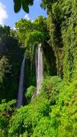 cinematográfico fpv zangão tiro vôo através exuberante selva galhos e mergulho sobre a Beira do sekumpul cascata dentro Bali, Indonésia, com deslumbrante tropical cenário e imersivo movimento. video