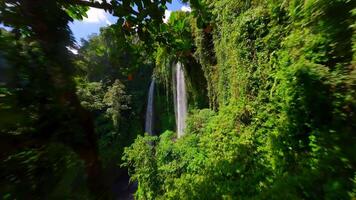 cinematográfico fpv zangão tiro vôo através exuberante selva galhos e mergulho sobre a Beira do sekumpul cascata dentro Bali, Indonésia, com deslumbrante tropical cenário e imersivo movimento. video