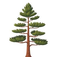 Pine tree illustration isolated on white background vector