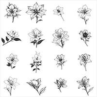 Black and white flowers in a sketch style vector