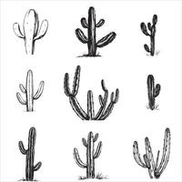 Hand drawn cactus plants in various poses vector