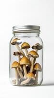 Mushrooms in a jar on a white background photo