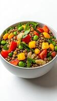 A bowl of mixed vegetables and beans photo