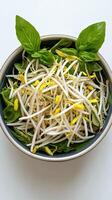 A bowl of sprouts and leaves photo