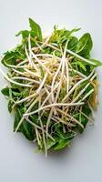 A salad with sprouts and leaves photo