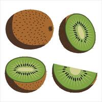 Kiwi fruit , whole and sliced. For smoothie labels, diet plans, and fresh produce art. vector