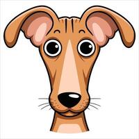 Greyhound dog isolated on white background. Sleek athletic breed profile illustration. vector