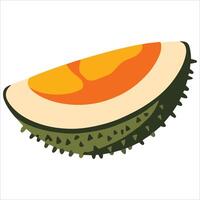 artwork of fresh ripe durian isolated on white. Spiky exotic fruit ideal for tropical cuisine themes and authentic Asian grocery visuals. vector