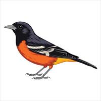 Yellow and black sparrow like bird, ploceidae . Cute avian art for nature and bird themed projects. vector