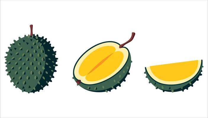 Durian art isolated on white background. Playful tropical fruit illustration ideal for Southeast Asian food markets and quirky culinary designs