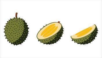 illustration of durian isolated on white. Perfect for representing exotic Southeast Asian fruits in food branding and humorous food concepts vector
