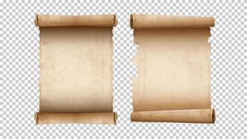 Old paper aged blank scrolls, two old parchments isolated vector