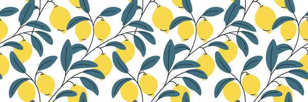 Botanical seamless pattern, fresh lemons on a white background vector
