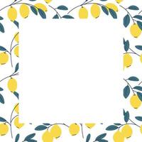 Square decorative lemon frame or border for invitations and recipes vector