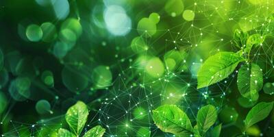 Green leaves with water droplets on them are connected by an abstract network of glowing lines in a natural outdoor setting , sustainable production and green technology concept photo