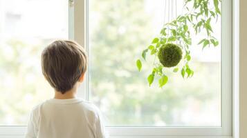 A child gazes in wonder at a kokedama hanging near the window, embracing nature indoors photo