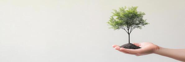 A hand gently holds a small tree, promoting environmental awareness and a commitment to sustainability photo