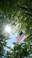 The American flag flutters among trees, sunlight filtering through leaves in a serene summer scene photo