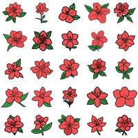 Collection of TwentyFour HandDrawn Red Rhododendron Flowers with Green Leaves on White Background vector