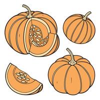 Collection of pumpkin slide In different perspectives vector