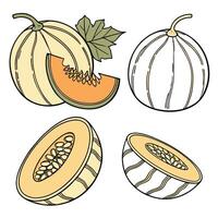 Collection set of Calabash In different perspectives vector