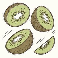 Collection of Kiwi In different perspectives vector