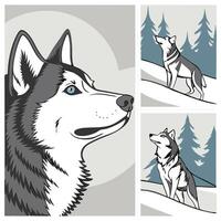 Collection set of Siberian Husky In different perspectives vector