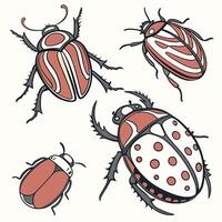 Collection set of Bug In different perspectives vector