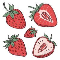 Collection set of Strawberry In different perspectives vector