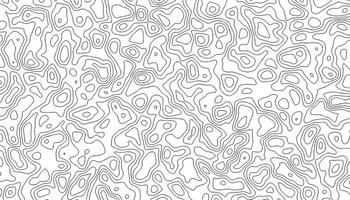 Seamless topographic thin line pattern on white. vector