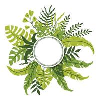 A round single frame made of lush tropical palm and monstera leaves in flat cartoon style. vector