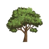 A tree with leaves on it is shown vector