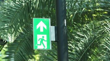 emergência Saída placa localizado dentro uma tropical área video