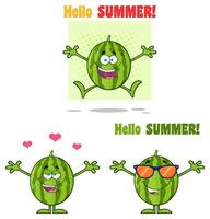 Happy Watermelon Characters With Summer Emotions And Hello Typography vector