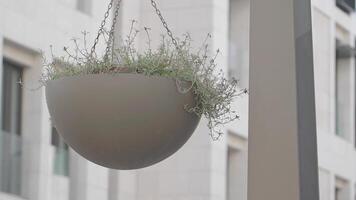 Hanging planter adds greenery to modern urban space video