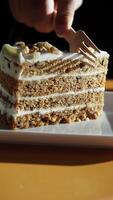Delicious layered cake with cream frosting and nuts video