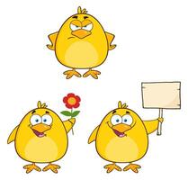 Funny Chick Collection With Emotions, Flower And Blank Sign For Custom Use vector