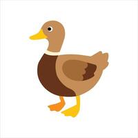 A duck on a white background vector