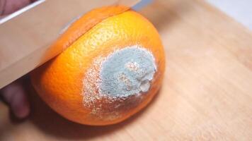 Moldy orange discovery while slicing for breakfast treat video