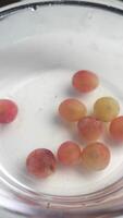 red grape falling a bowl of water video