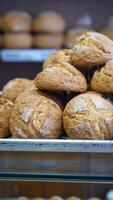 Freshly baked bread rolls in local bakery display video