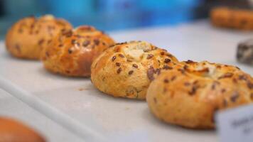 Freshly baked bagels with seeds on display in bakery video